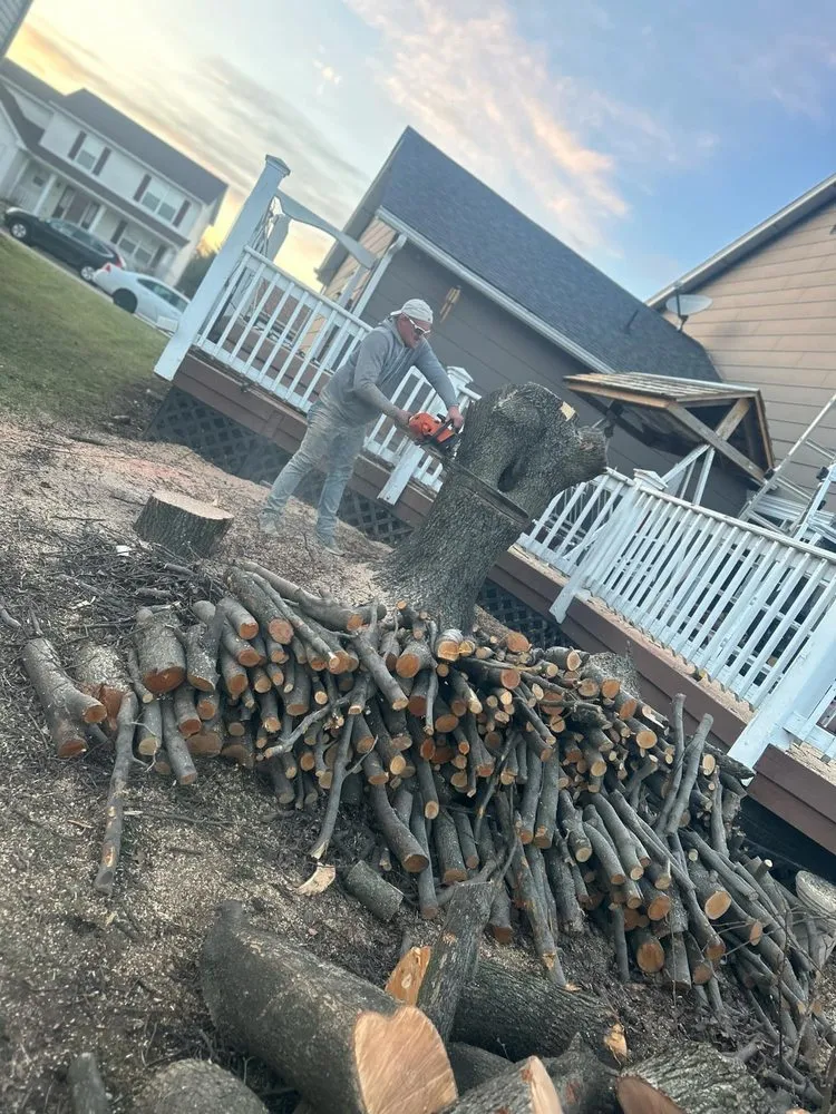 Reliable garden landscaping in Oak Ridge, MO by Jones Landscaping and Power Washing