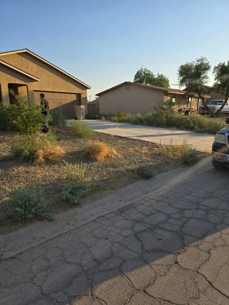 Local yard maintenance experts serving Eloy, AZ - Jones landscaping