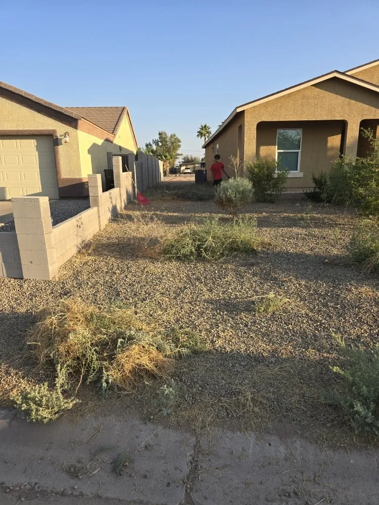 Affordable landscape design in Eloy, AZ - Jones landscaping