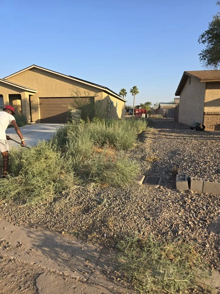 Trusted landscaping services near you in Eloy, AZ by Jones landscaping
