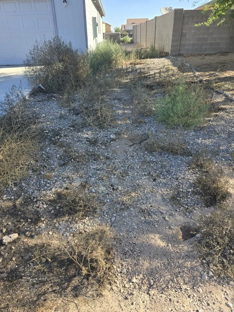 Reliable landscaping services near you in Eloy, AZ by Jones Landscaping