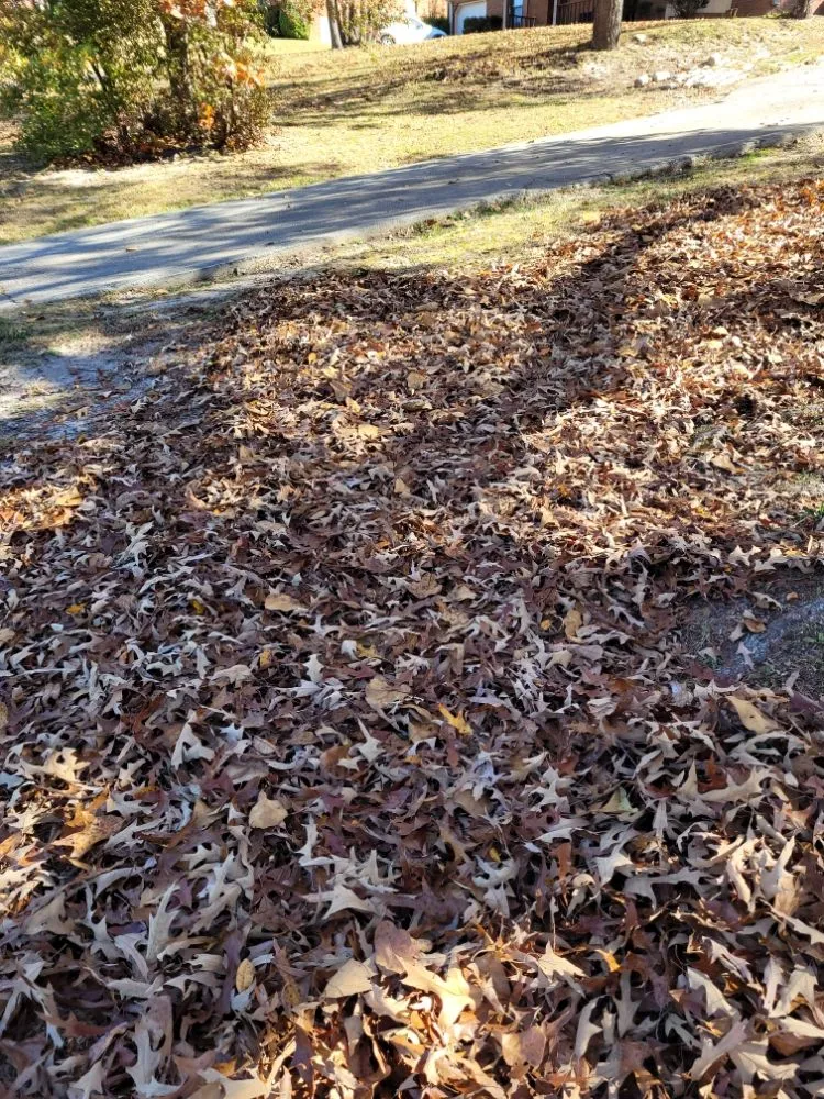 Expert outdoor landscaping experts serving Grovetown, GA - Jones Landscaping