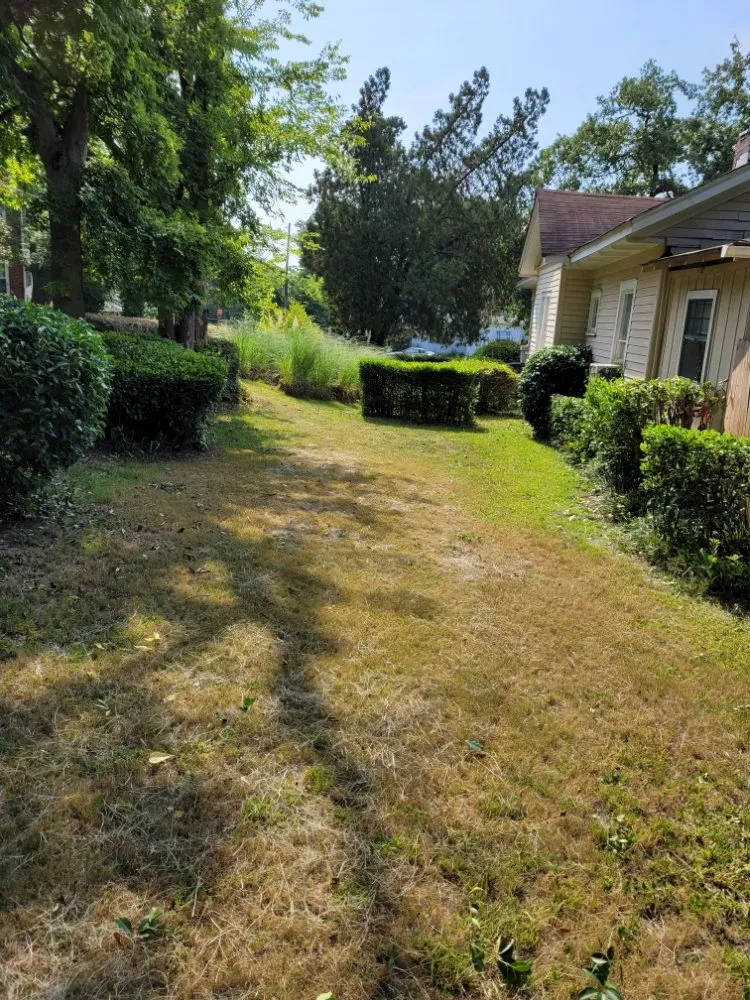 Trusted yard maintenance experts serving Grovetown, GA - Jones Landscaping