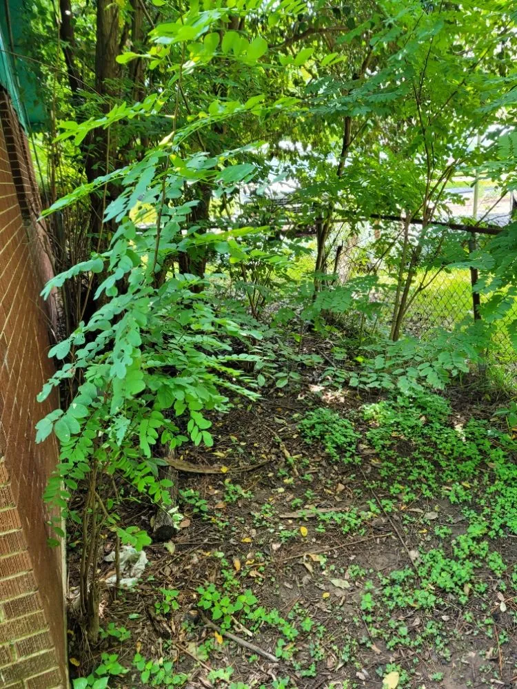 Affordable garden landscaping experts serving Grovetown, GA - Jones Landscaping