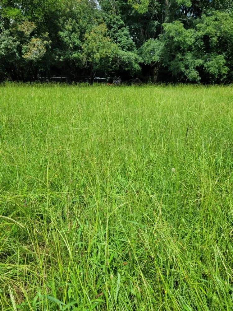 Professional lawn mowing service experts serving Grovetown, GA - Jones Landscaping