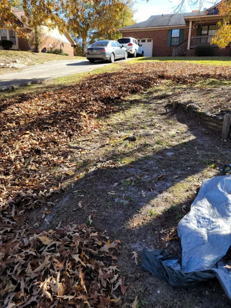 Local residential landscaping in Grovetown, GA - Jones Landscaping