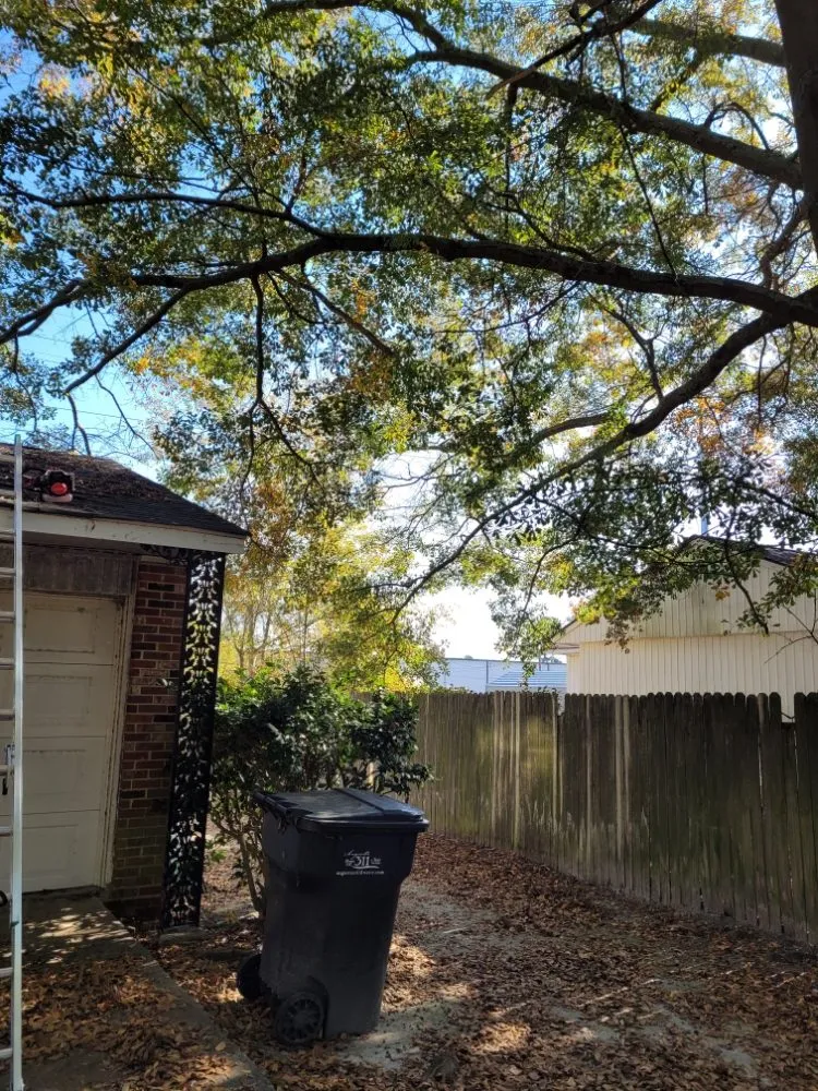 Top-rated residential landscaping for beautiful yards in Grovetown, GA by Jones Landscaping