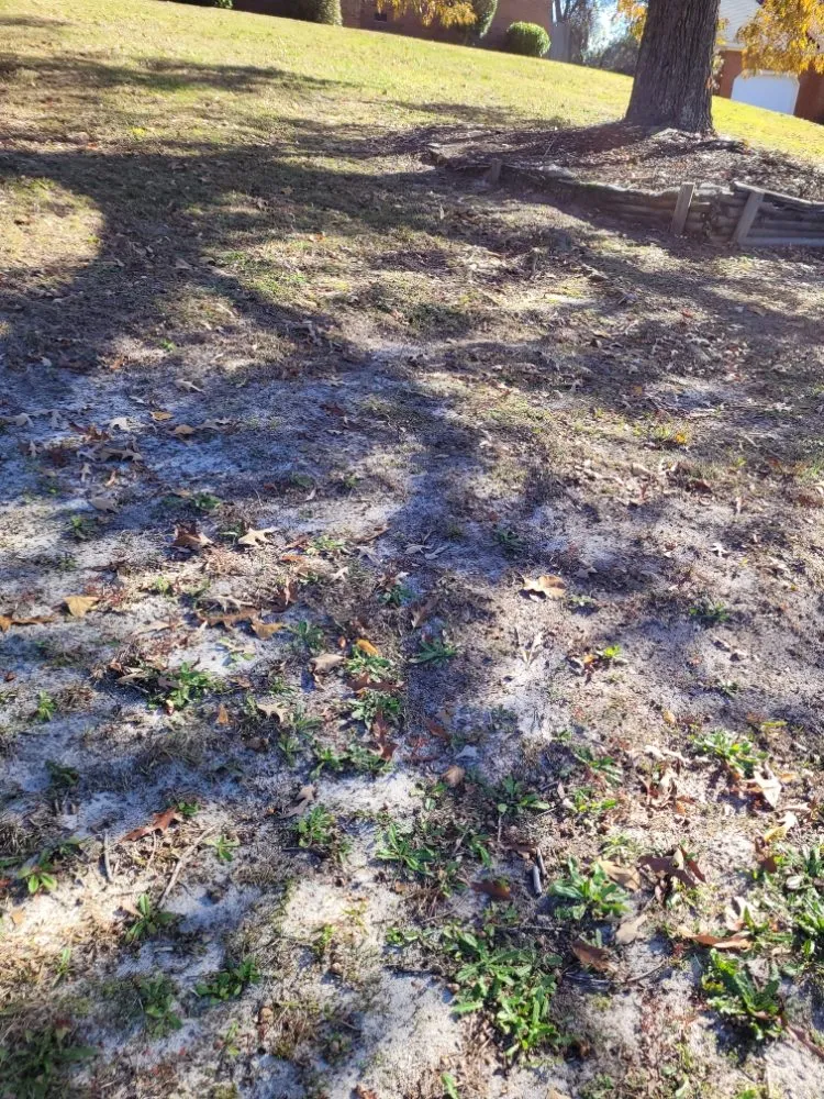 Trusted lawn mowing service for beautiful yards across Grovetown, GA - Jones Landscaping