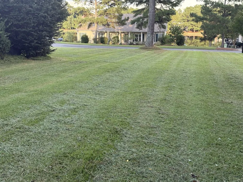 Professional landscaping services in Sanford, NC by Jones Lawn & Hauling