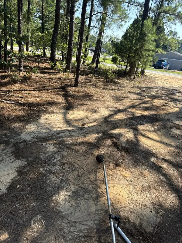 Expert landscape installation for beautiful yards across Sanford, NC - Jones Lawn & Hauling