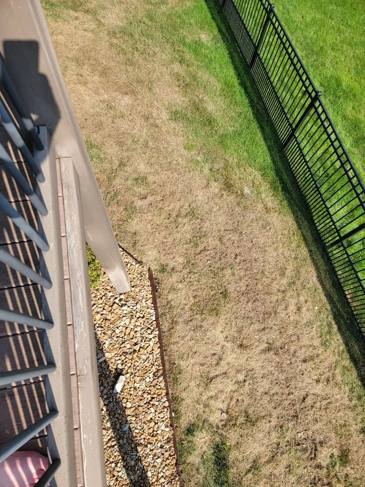 Professional outdoor landscaping in Blue Springs, MO - Jones Lawn and Landscape