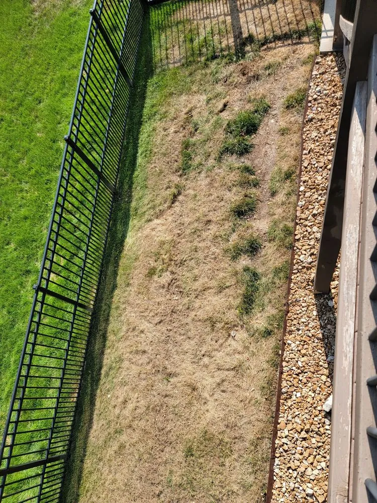 Professional yard cleanup service experts serving Blue Springs, MO - Jones Lawn and Landscape