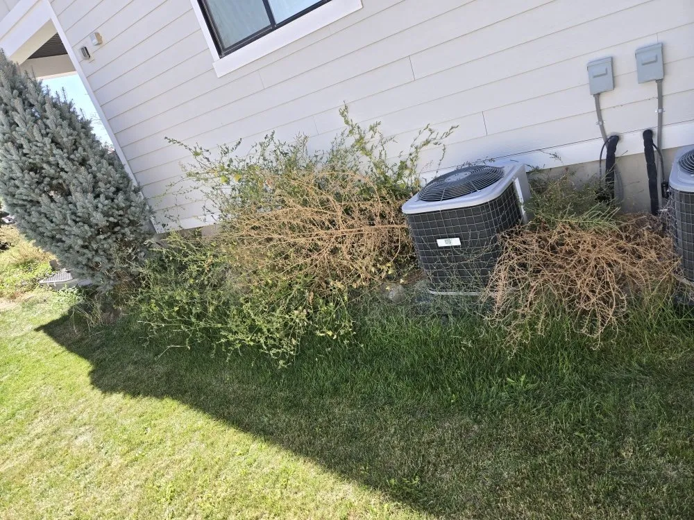 Professional residential landscaping in Lehi, UT by Jones Lawn Care & Snow Removal