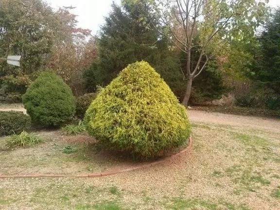 Affordable residential landscaping in Farmville, VA - Jones' Lawn Care