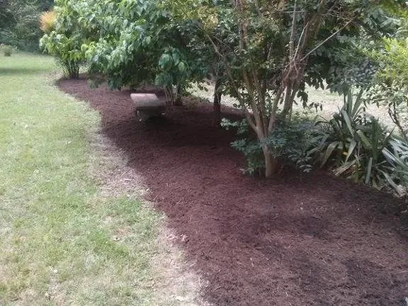 Reliable residential landscaping in Farmville, VA by Jones' Lawn Care