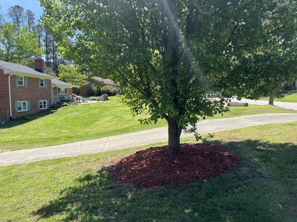 Custom residential landscaping for beautiful yards across Greeleyville, SC - Jones Lawn Care
