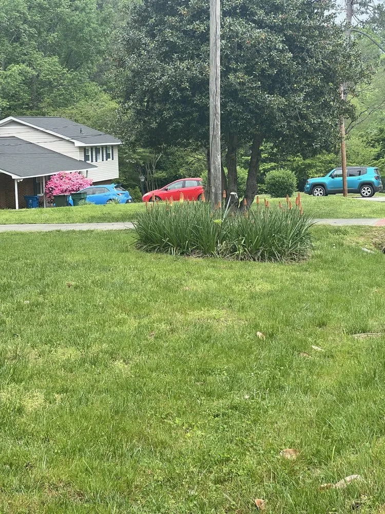 Top-rated outdoor landscaping for outdoor upgrades in Greeleyville, SC by Jones Lawn Care