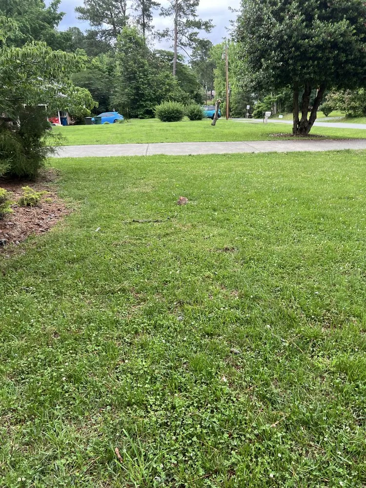 Professional yard cleanup service for beautiful yards in Greeleyville, SC by Jones Lawn Care