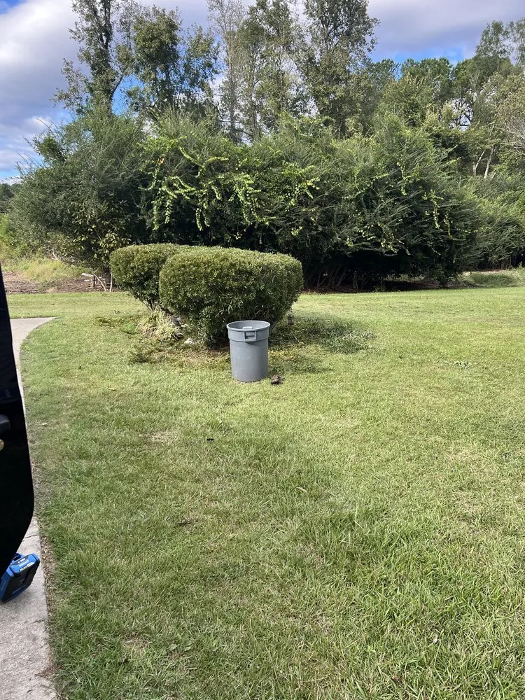 Affordable garden landscaping experts serving Greeleyville, SC - Jones Lawn Care