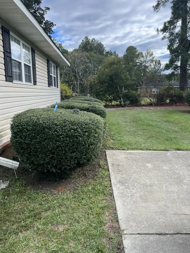 Top-rated garden landscaping experts serving Greeleyville, SC - Jones Lawn Care