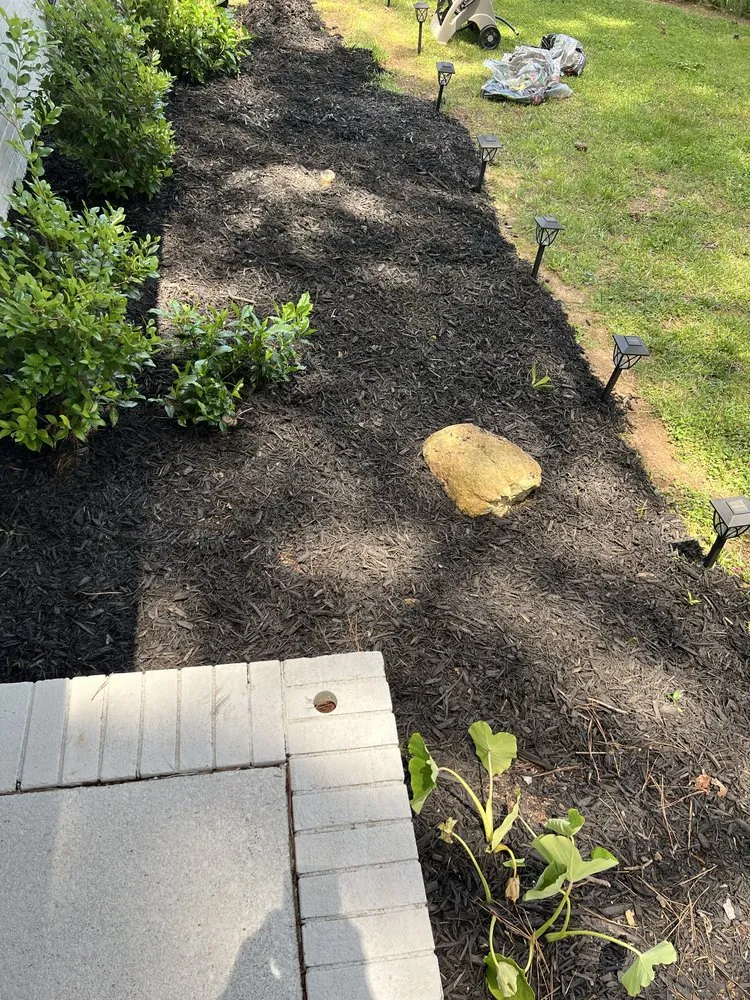 Expert garden landscaping near you in Greeleyville, SC by Jones Lawn Care