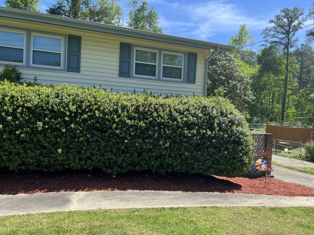 Expert outdoor landscaping in Greeleyville, SC by Jones Lawn Care