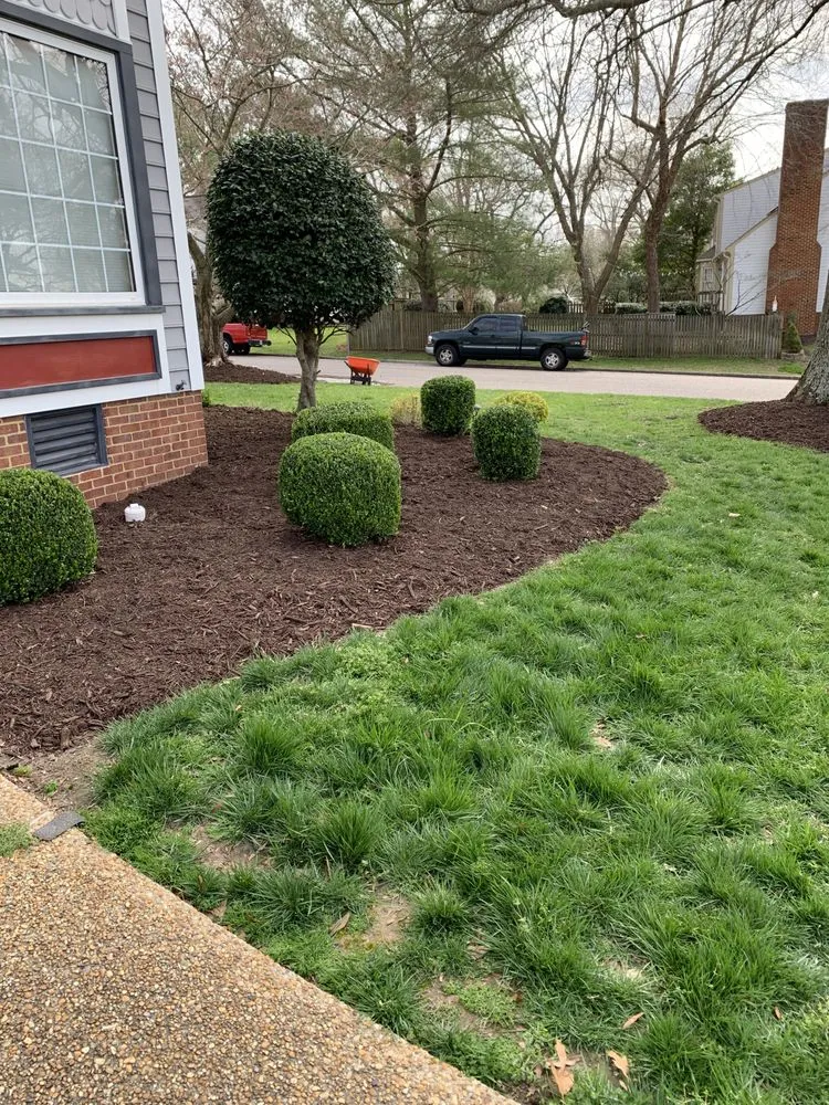 Reliable yard maintenance experts serving Newport News, VA - Jones Lawn Care