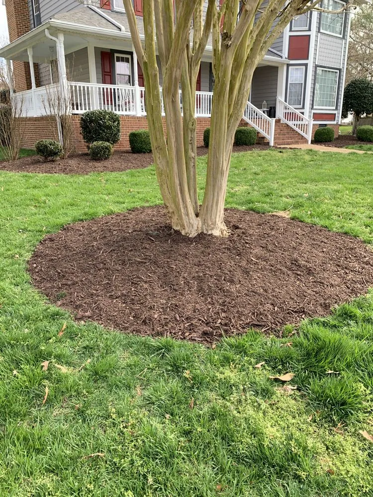 Reliable landscape installation experts serving Newport News, VA - Jones Lawn Care