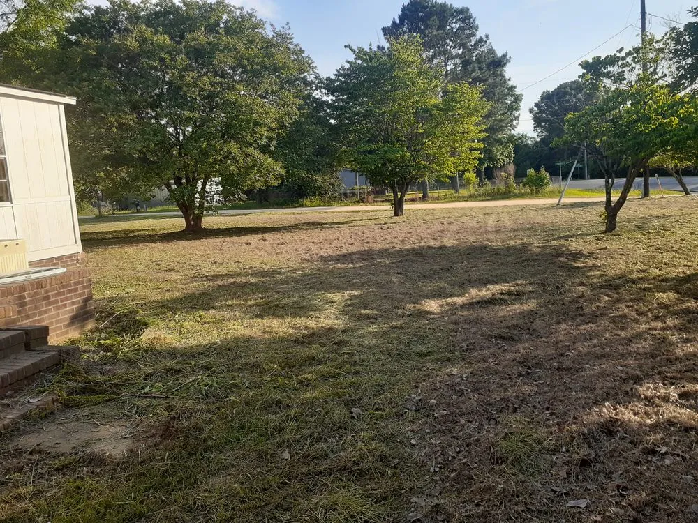 Affordable lawn mowing service experts serving Pikeville, NC - Jones Lawn Care Service