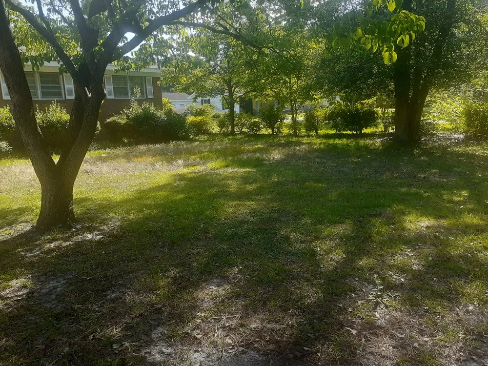 Custom lawn mowing service for beautiful yards across Pikeville, NC - Jones Lawn Care Service