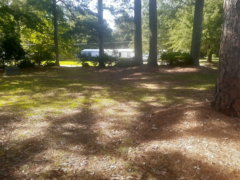 Reliable yard cleanup service in Pikeville, NC - Jones Lawn Care Service