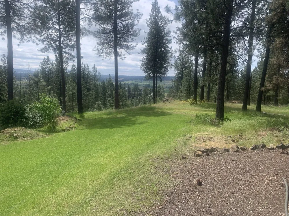 Affordable yard maintenance in Spokane Valley, WA by Jones Lawn Care