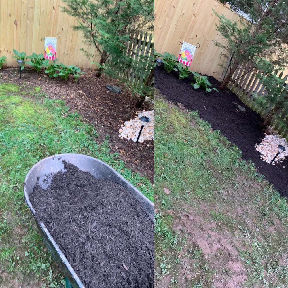 Reliable yard cleanup service in New Market, MD - Jones Lawn Design