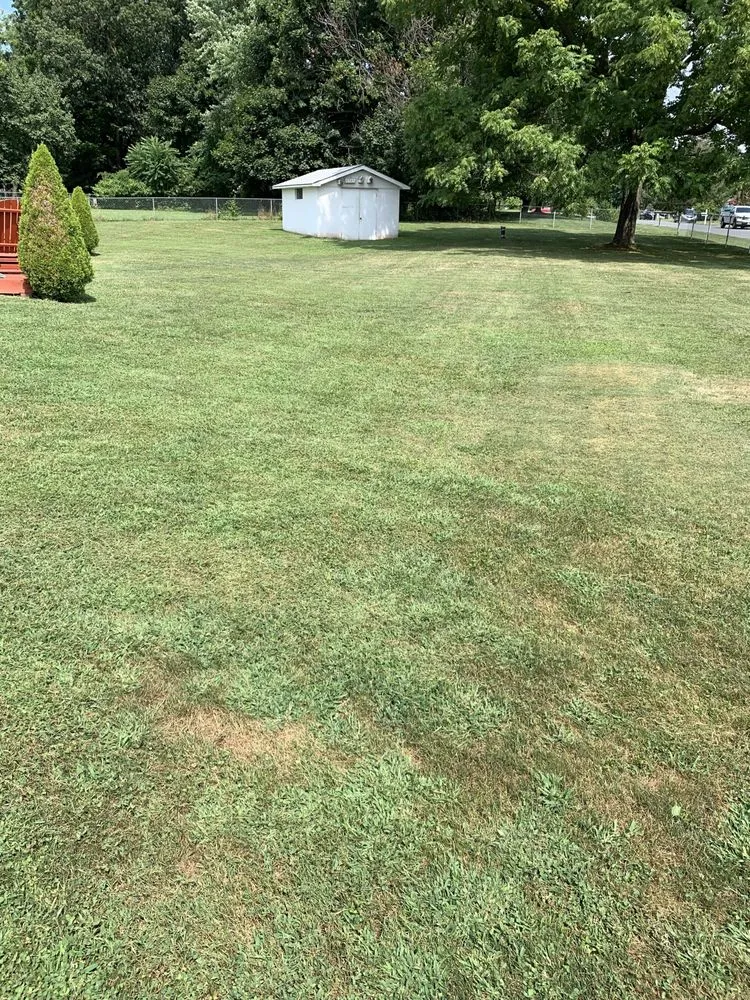 Custom yard maintenance for year-round maintenance across New Market, MD - Jones Lawn Design