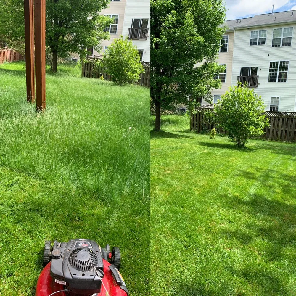 Top-rated residential landscaping in New Market, MD by Jones Lawn Design