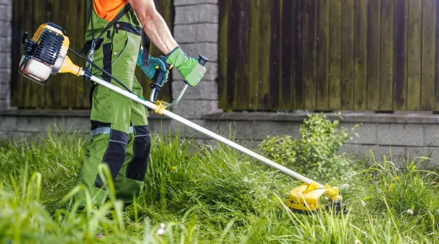 Local yard cleanup service in Anderson, SC by Jones Lawncare