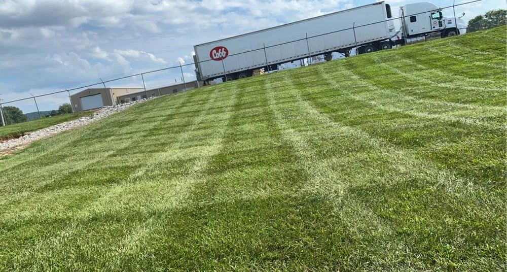 Expert outdoor landscaping experts serving Science Hill, KY - Jones Mowing & Landscaping