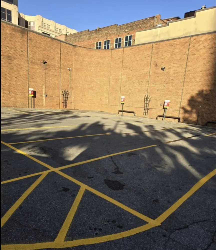 Professional yard cleanup service for beautiful yards across Wytheville, VA - Jones Mowing