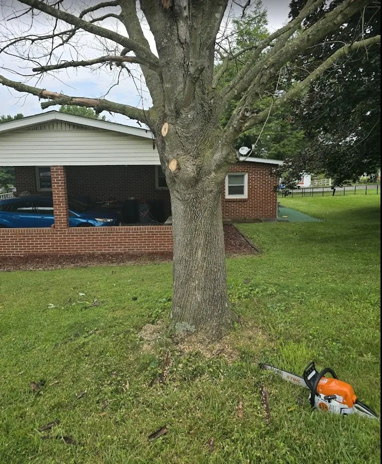 Professional residential landscaping experts serving Wytheville, VA - Jones Mowing