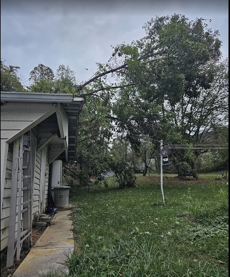 Top-rated lawn mowing service for beautiful yards in Wytheville, VA by Jones Mowing