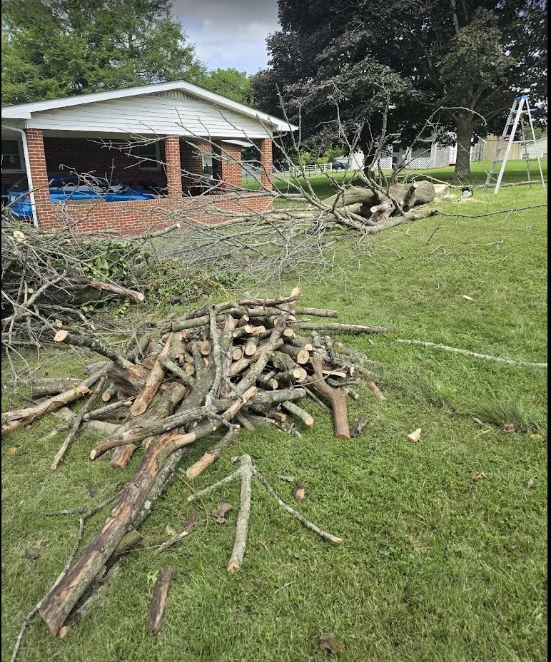 Affordable landscape design in Wytheville, VA - Jones Mowing