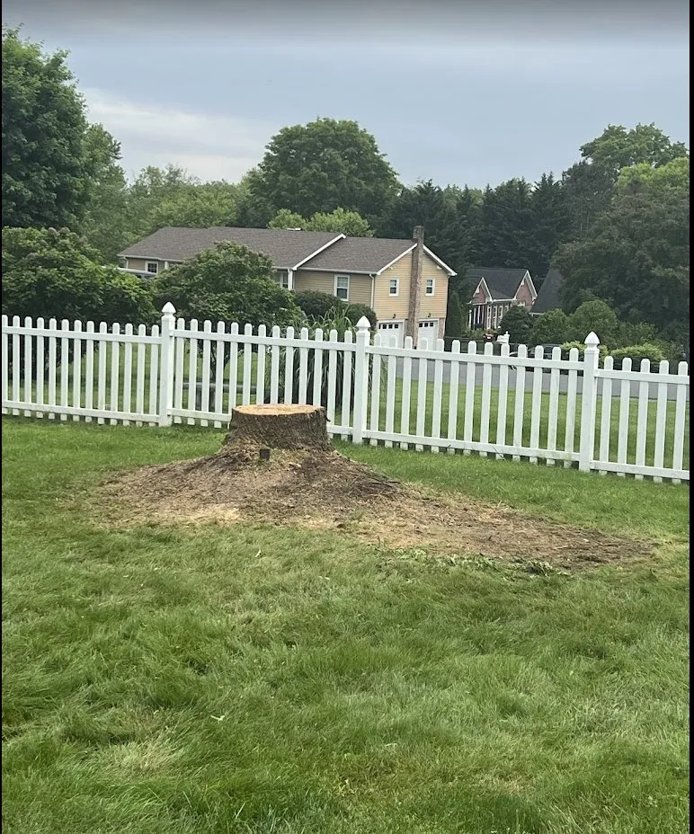 Professional landscape design near you across Wytheville, VA - Jones Mowing