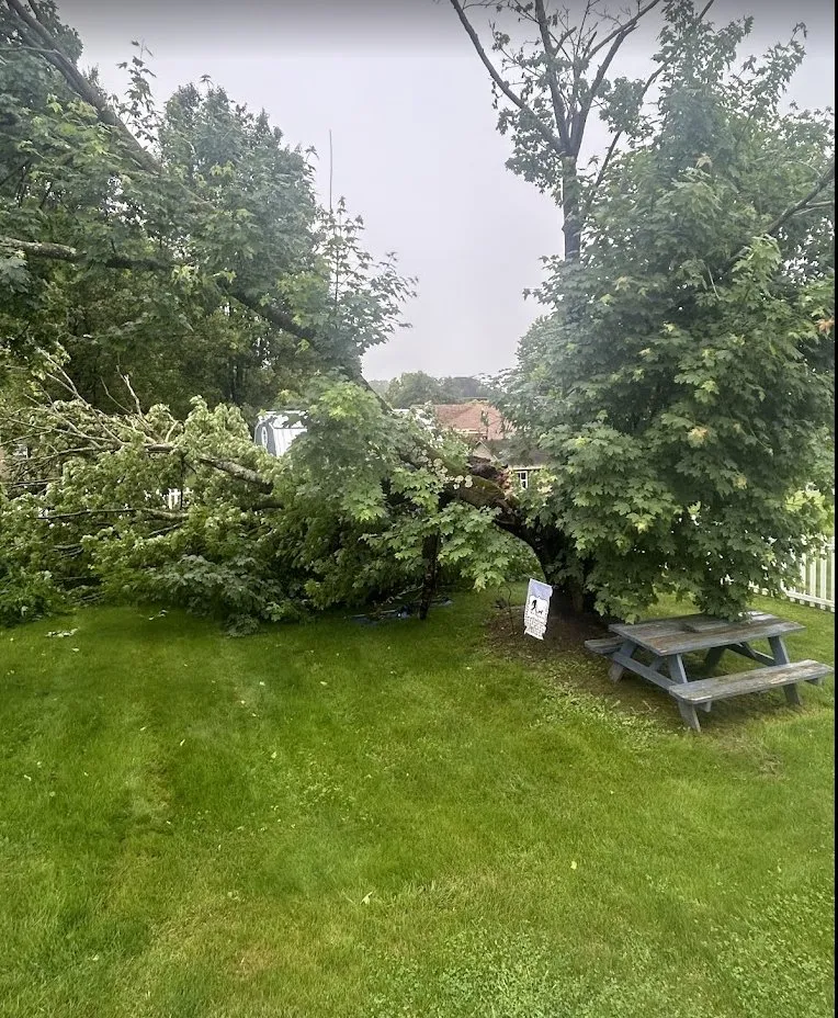 Local landscaping services in Wytheville, VA - Jones Mowing