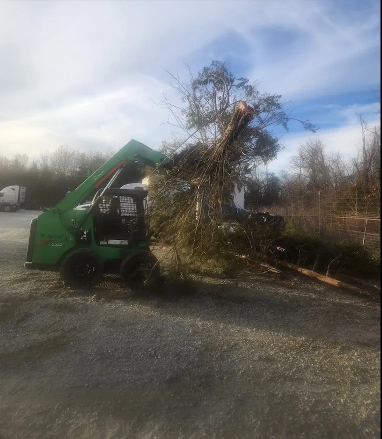 Top-rated residential landscaping for beautiful yards across Wytheville, VA - Jones Mowing
