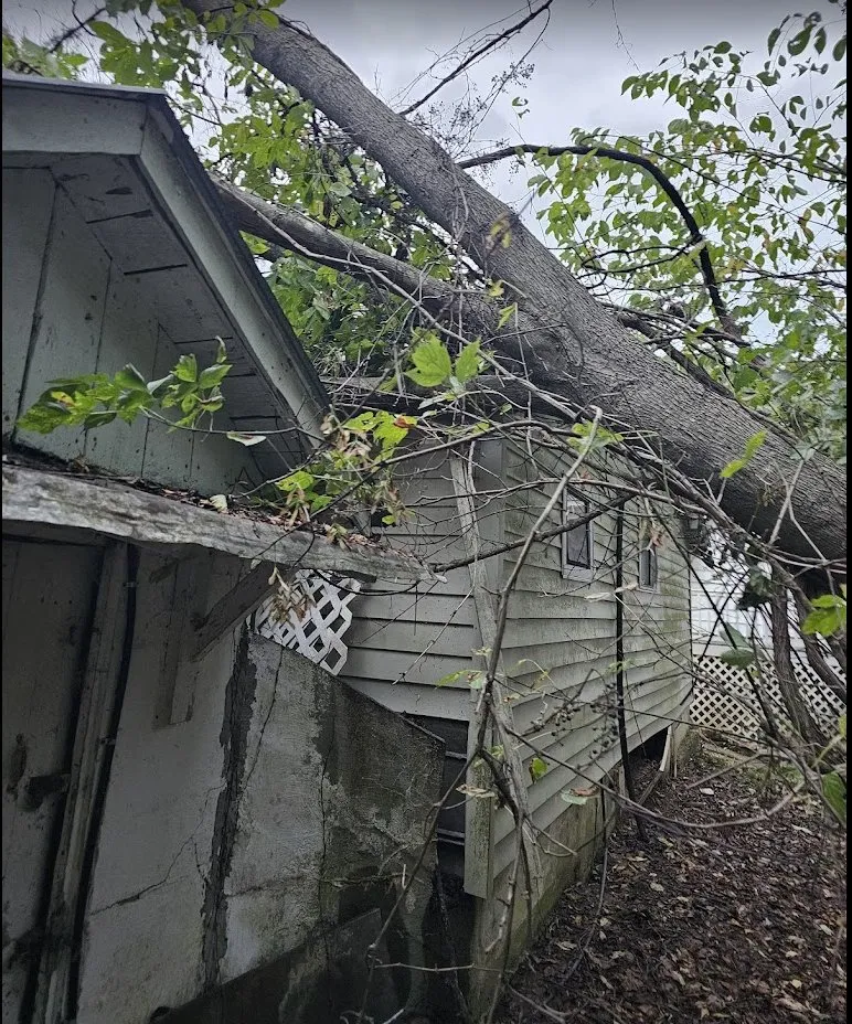 Reliable residential landscaping for year-round maintenance across Wytheville, VA - Jones Mowing