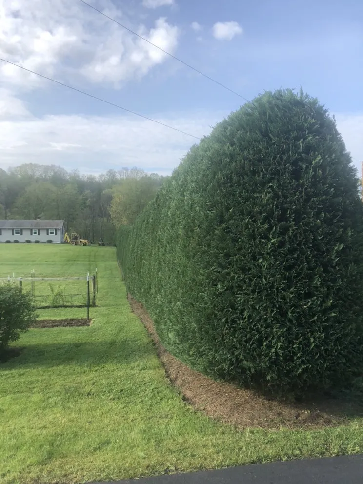 Local lawn mowing service in Rural Retreat, VA - Jones Nursery And Landscaping