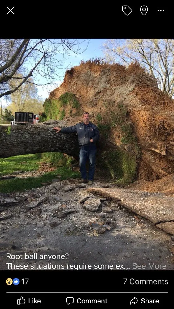 Custom lawn care service in Decatur, AL by Jones Outdoor Service