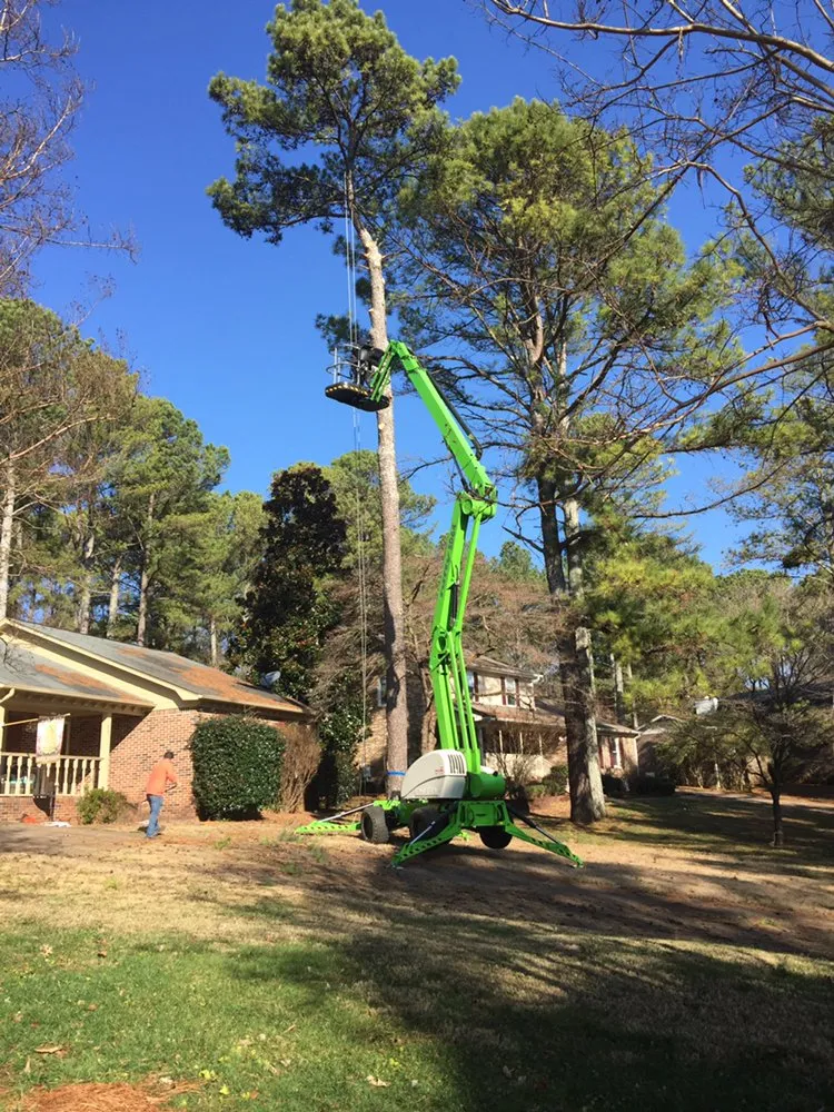 Custom yard cleanup service in Decatur, AL by Jones Outdoor Service