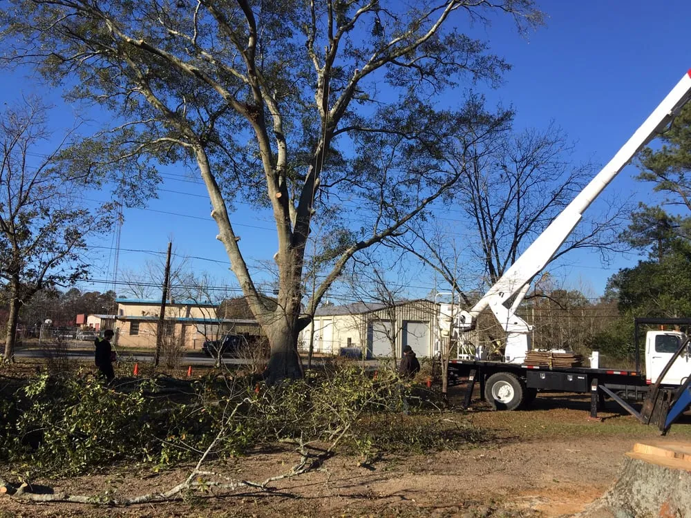 Top-rated yard maintenance in Decatur, AL - Jones Outdoor Service