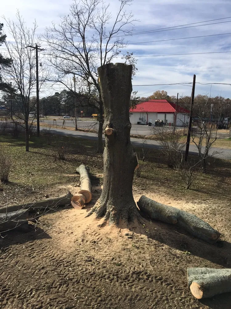 Local lawn care service for homes in Decatur, AL by Jones Outdoor Service